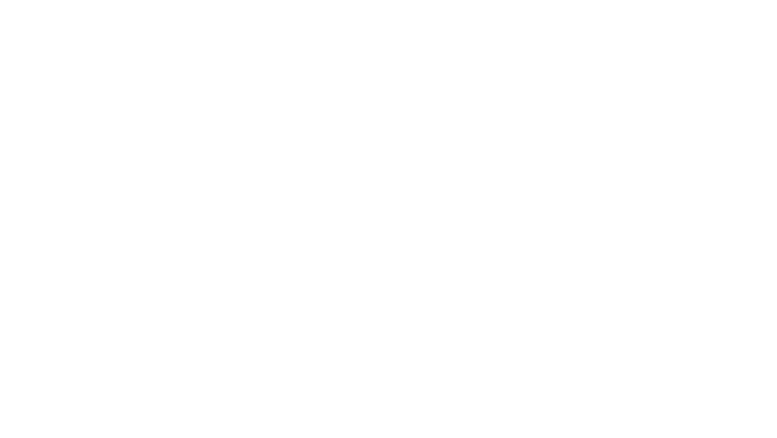 Logo do Stizi em branco