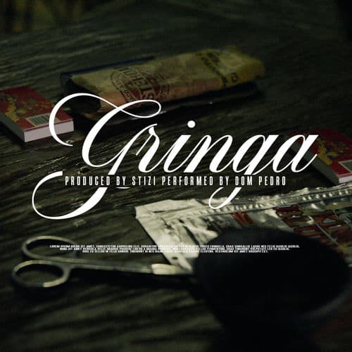 Capa de Gringa